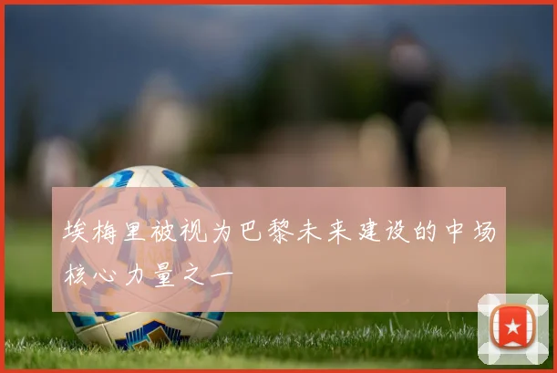 埃梅里被视为巴黎未来建设的中场核心力量之一